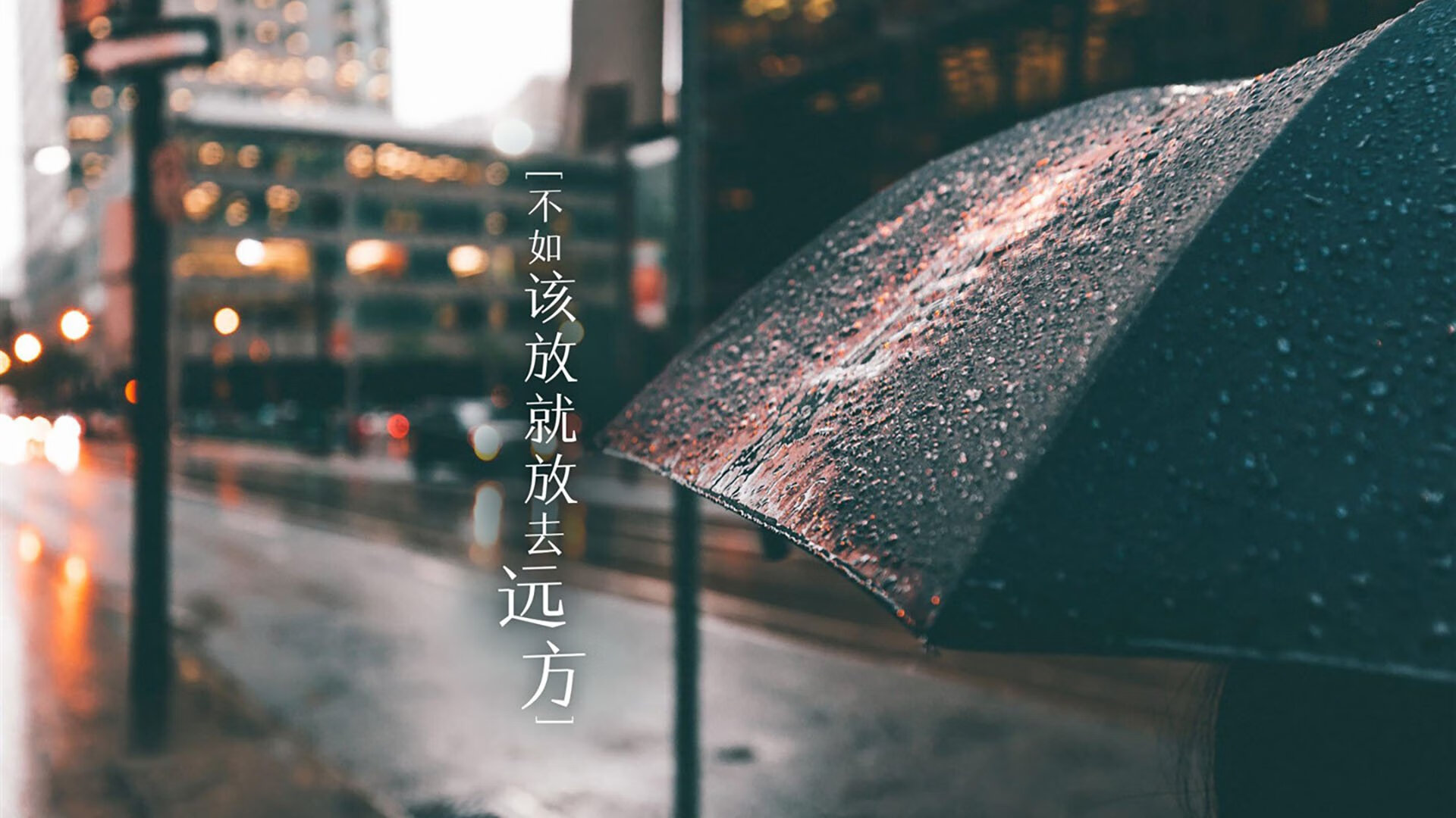 开云·体育官网-森林狼连续三场胜利媒体一致称赞，森林狼比赛